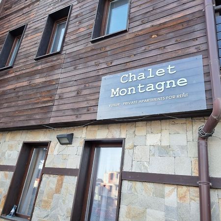 Chalet Montagne Bansko Apartment Eksteriør billede
